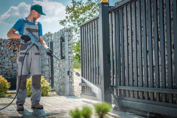 Best Graffiti Removal  in Panorama Village, TX